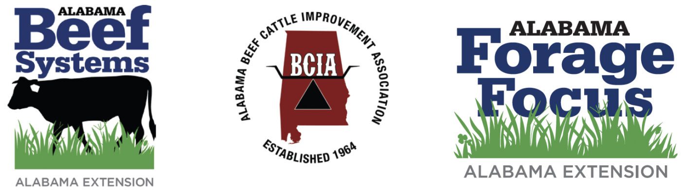 Logos for Alabama Extension's Beef Systems and Forage Focus programs and the Alabama Beef Cattle Improvement Association's logo.